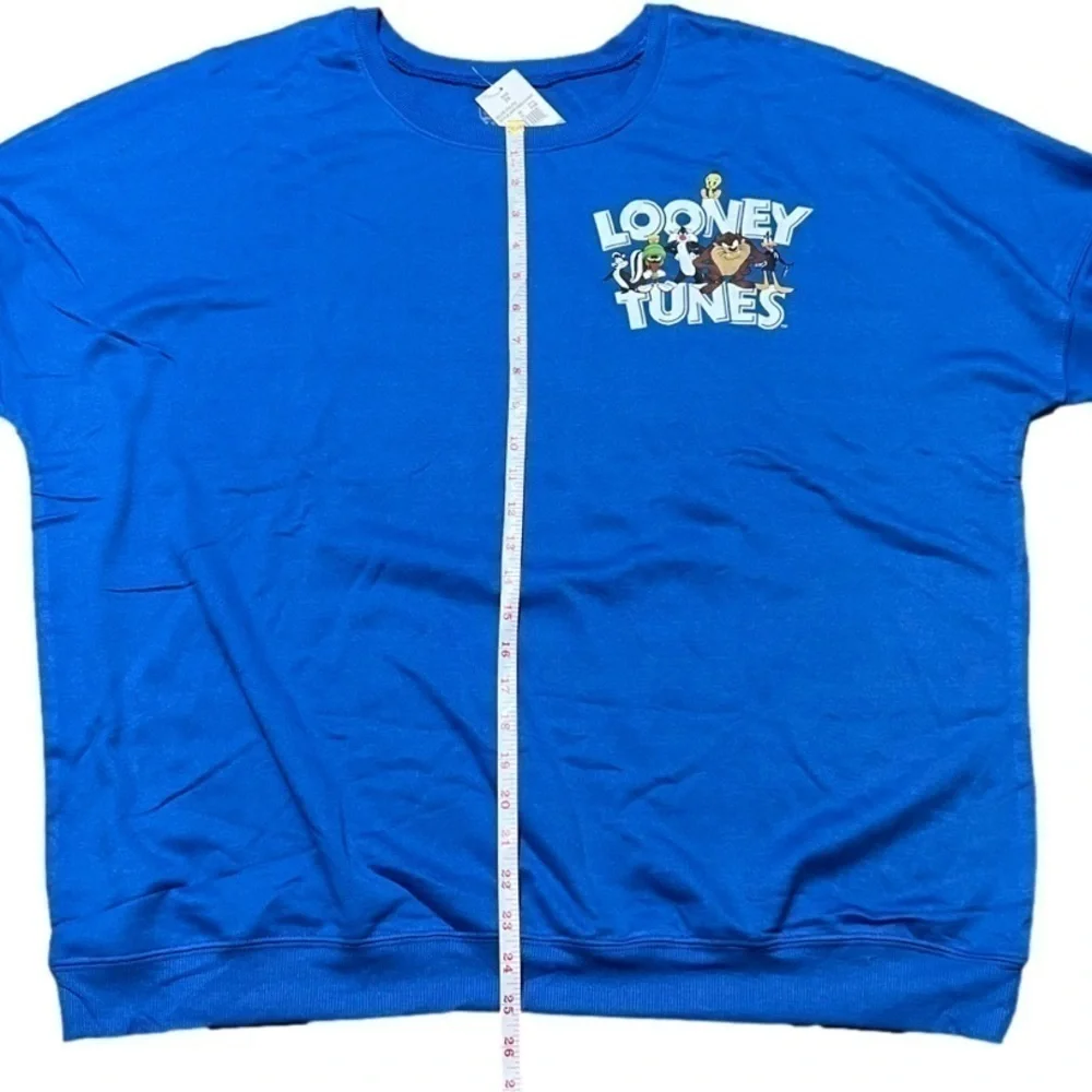 Looney Tunes Royal Blue Pullover Men’s  (Sz 2X)
